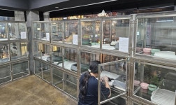 울산 도심 첫 유기동물 입양센터···입양률 제고 기대