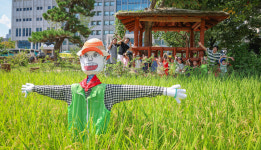 폭염 이겨내고 찾아온 가을···당분간 선선