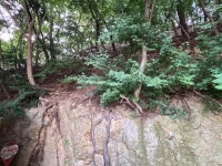 무너질라 아찔한 급경사···동부도서관 보행로 옆 산비탈 위험천만
