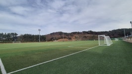 녹색 분진 눈앞에···문수국제양궁장 인조잔디 제 기능 상실