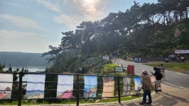 [울산문화가 산책] 울산태화가람대축제 등