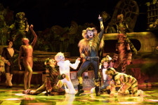 [윤하정의 공연 세상]세상에서 가장 수명이 긴 고양이 - 뮤지컬 <캣츠>