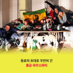 [길 위에서 샤우팅! 노 뮤직 노 트래블] 가장 뜨거웠던 날들의 기록