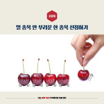 [나는 하루 1시간 주식투자로 연봉번다] 반드시 수익 내는 3단계 주식투자