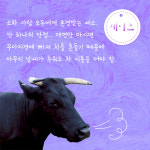 [소의 비밀스러운 삶] 소확행? 그거 우리 얘기잖아!