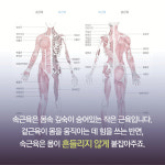 [간단 속근육 운동] 통증과 체형을 근본부터 바로잡는다