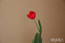 [이병률, 어떻게 혼자일 수 있겠니] 누가 나를 싫어하는지 나는 단 번에 알지 