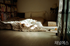 (빨래방 쪽으로) 산책