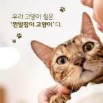 [10대의 뇌] 믿을 수 없겠지만 외계인은 아닙니다