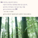[사서] 이치를 담은 네 권의 책