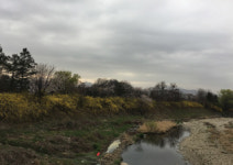 [김진형의 틈입하는 편집자] 지도로는 찾지 못할 곳