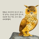 [올빼미와 부엉이] 신비로운 야행성 맹금류의 우아한 세상
