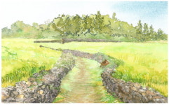 [7문 7답] 제주올레길 개척자가 알려주는 서귀포의 숨은 매력
