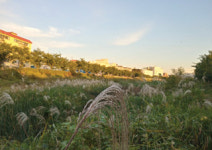 [엄지혜의 돌봄의 말들] 살아남기 위해 거리를 둔다