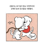 [카드뉴스 - 은돌아, 산책 갈까?] 강아지가 가르쳐 준 한없는 사랑을 그리다