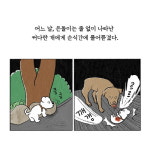 [카드뉴스 - 은돌아, 산책 갈까?] 강아지가 가르쳐 준 한없는 사랑을 그리다