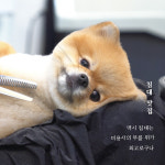 [너로 인해 내 마음이 다독다독] 마음을 말랑말랑하게 만들어주는 동화 이야기