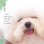[너로 인해 내 마음이 다독다독] 마음을 말랑말랑하게 만들어주는 동화 이야기
