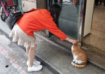 조니워커 “이 계절, 다시 사랑할 용기를”
