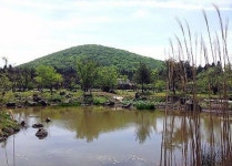 붉은오름 자연휴양림 하반기 개장