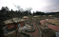 붉은오름 자연휴양림 하반기 개장