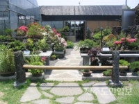 한국에서 아름다운 곳? 제주 저지마을