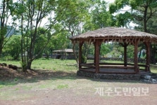 한국에서 아름다운 곳? 제주 저지마을