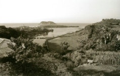 1960년대 서귀포항