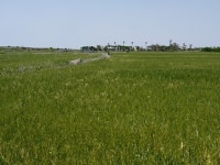 가파도에 찾아가는 이동복지관