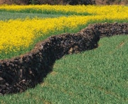 제주 돌담밭, 세계중요농업유산 등재 힘써야