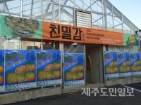 제주감귤 소재로 한 예술작품 친밀감