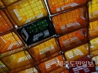 제주감귤 소재로 한 예술작품 친밀감