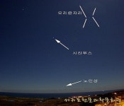 서귀포에서 노인성보고 무병장수하세요