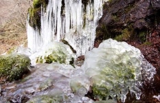 봄을 재촉하는 물방울 소리 가득한 한라산 계곡