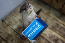 한화아쿠아플라넷제주, 모든 시설 무료 연간회원권