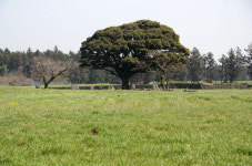 4·3으로 잃어버린 마을에 남은 자들 지금 그 모습은?