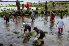 제주의 보고(寶庫) 우도소라축제 보러 오세요