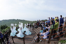 [포토] 제49회 제주도민체전 성화 채화식