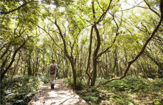 제주 곶자왈 도립공원, 24일 준공
