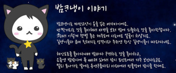 제주의 밤, 즐길 준비 되셨나요?