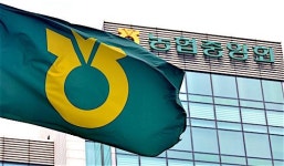 글로벌 호구로 전락한 농협중앙회…수백억 날려