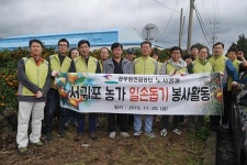 공무원연금공단, 노사공동 감귤수확 일손 돕기 봉사