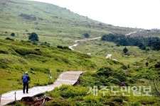 제주 자연환경 복원에 24억 투입한다
