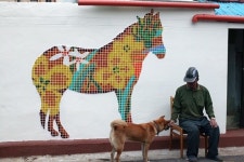 예술섬 1번지 꿈 유토피아로, 이대로 좌초하나…