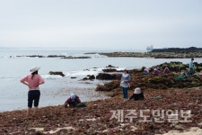 우도 본연의 정취, 오래 간직하려면...?