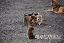 우도 본연의 정취, 오래 간직하려면...?