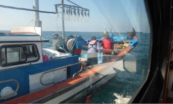 구명조끼 안 입은 제주선장 적발