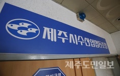 제주시수협 조합장 대행 연장 탐욕 추악