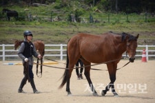 제주교육 패러다임의 변화, 중심에 선 서귀산과고