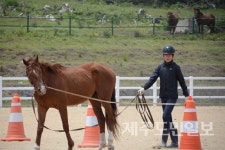 제주교육 패러다임의 변화, 중심에 선 서귀산과고